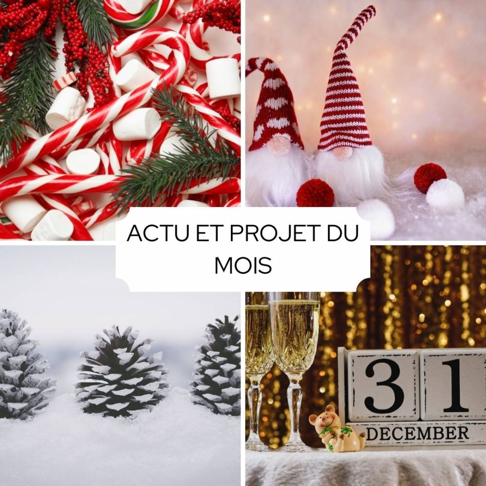 ACTU ET PROJETS DU MOIS 