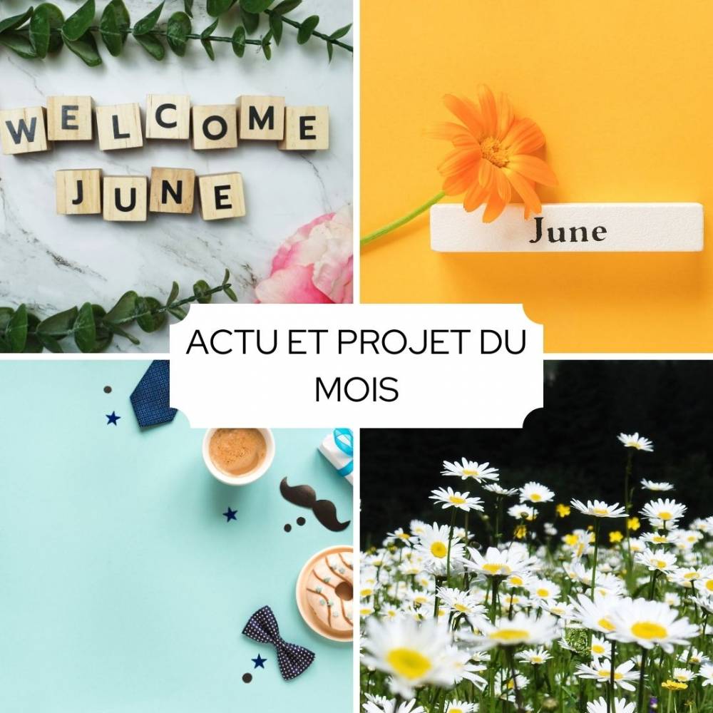 ACTUS ET PROJETS DU MOIS