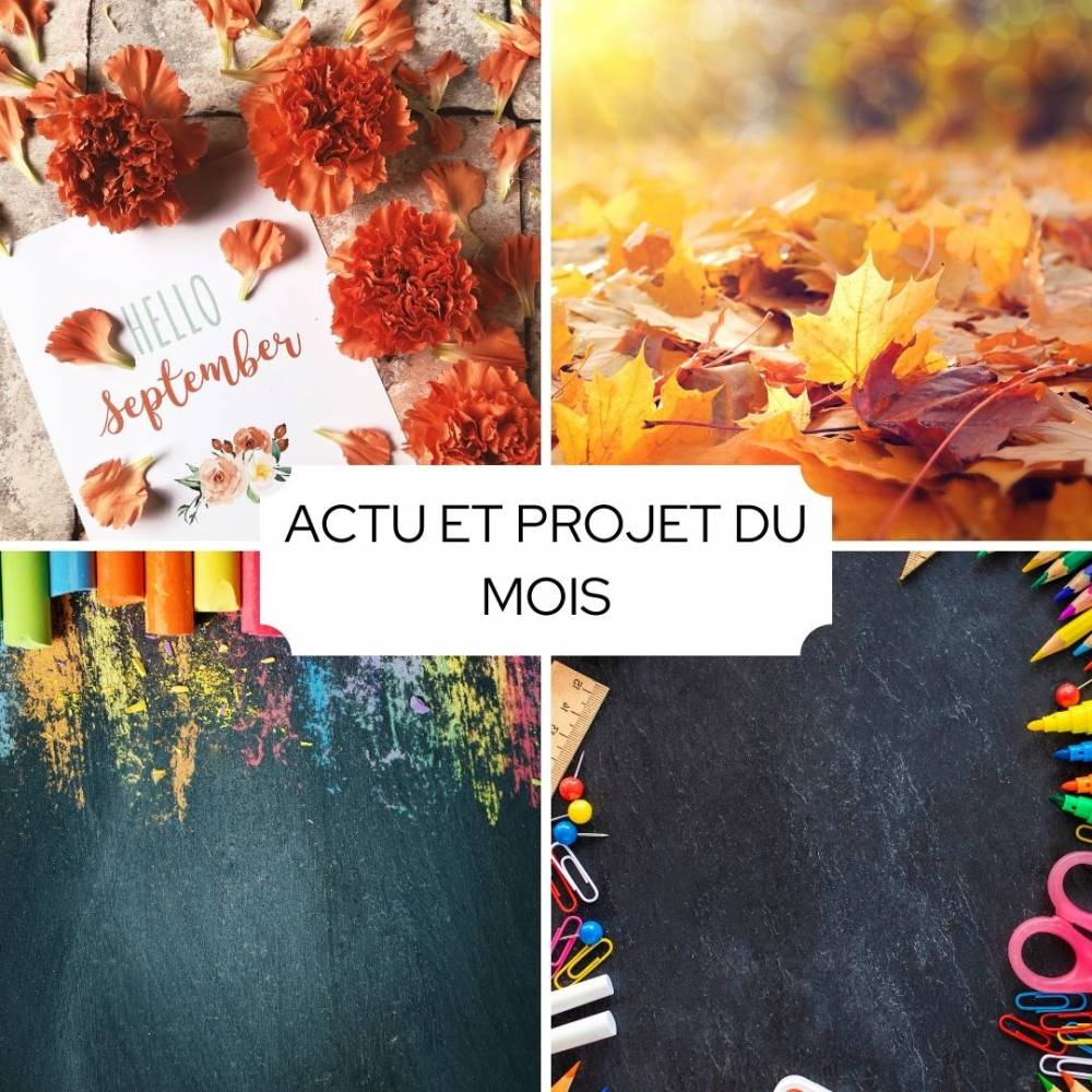 ACTU ET PROJETS DU MOIS 